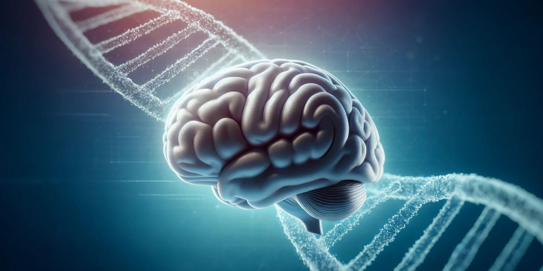 The Role of Acetylcholine in APOE4 Carriers
