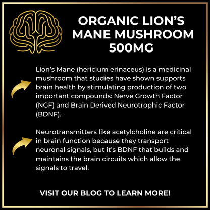 graphic summary of benefits of Lion's Mane Mushroom including increased neurogenesis