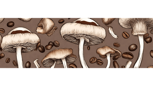 What is Mushroom Coffee and why is everyone drinking it?