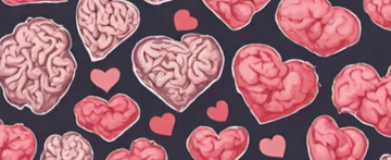 Brain Health. Meet Your Happy Chemicals