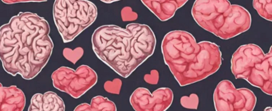 Brain Health. Meet Your Happy Chemicals