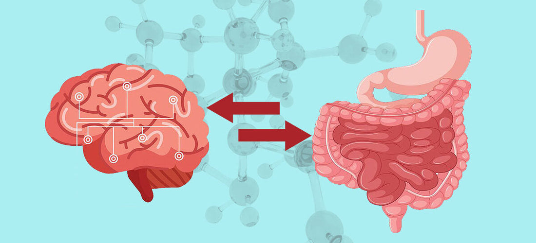 BPC-157: Nervous System, Gut Health, Connective Tissue & More