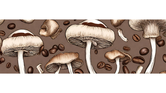 What’s the deal with Mushroom Coffee and why is everyone drinking it?