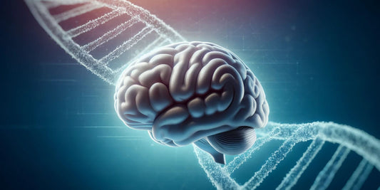 The Role of Acetylcholine in APOE4 Carriers