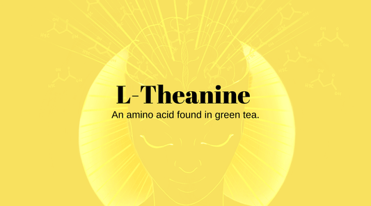 Is Theanine a Nootropic?