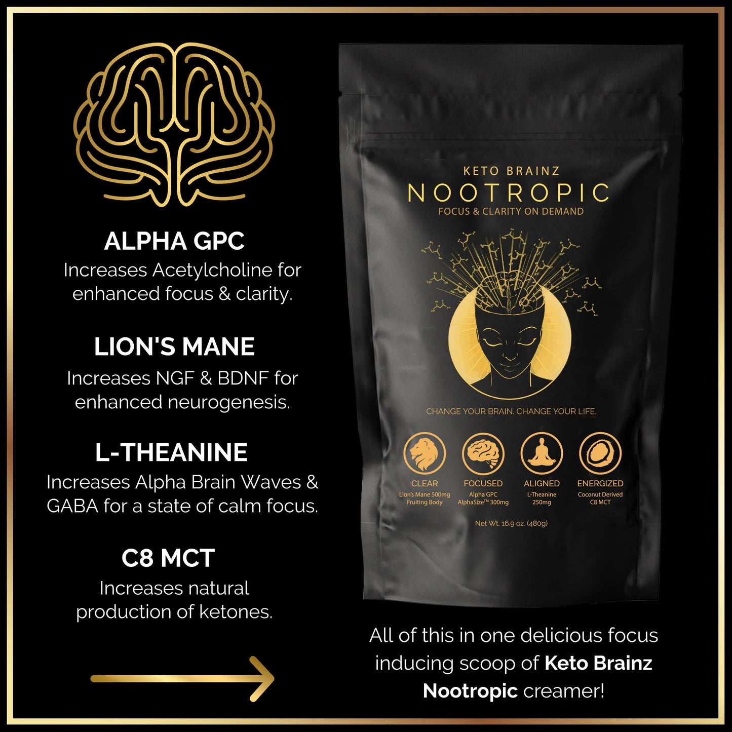 graphic image of ingredients in Keto Brainz Nootropic creamer which includes alpha gpc, lion's mane mushroom, L-theanine and C8 MCT oil powder