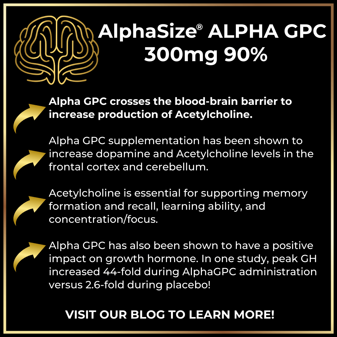 graphic summary of benefits of alpha gpc including an increase in dopamine and acetylcholine for focus 