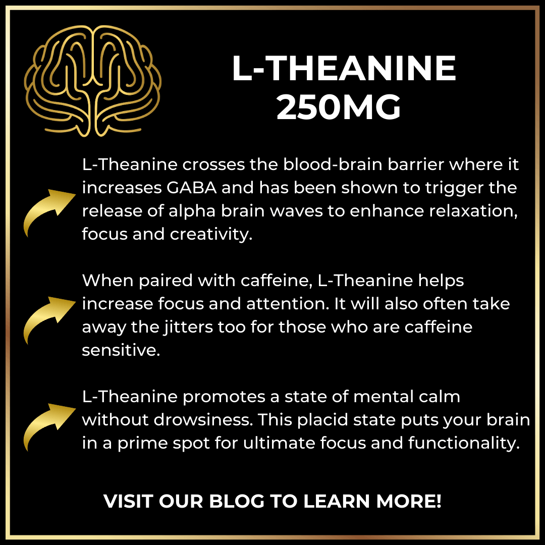 graphic summary of benefits of L-theanine including increased GABA and calming Alpha wave production