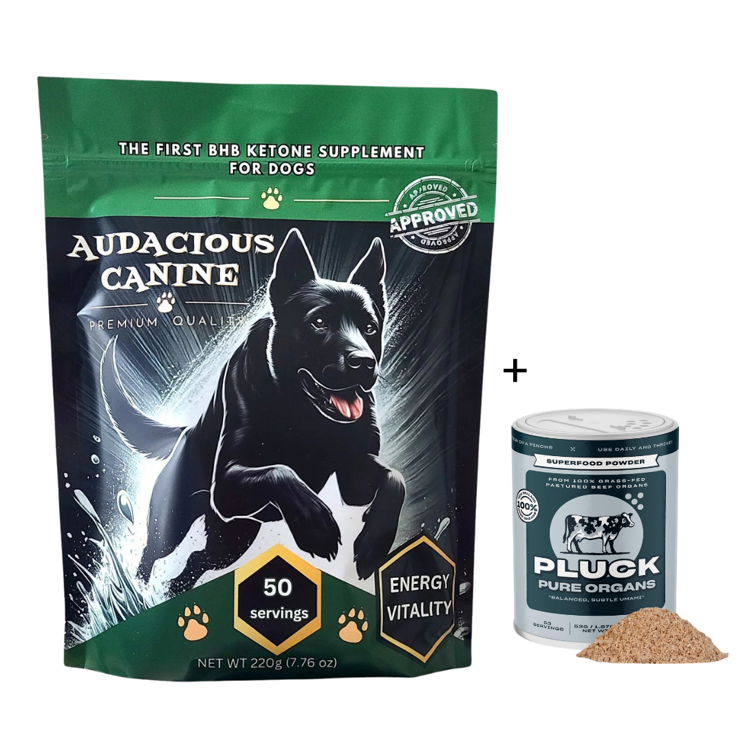 Dog Lovers Bundle