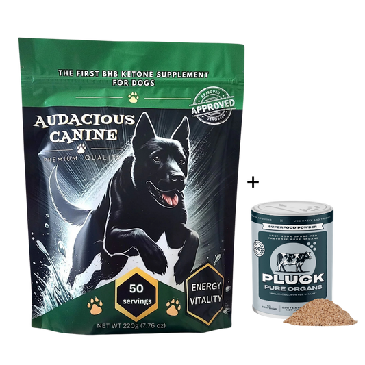 Dog Lovers Bundle
